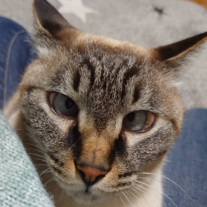 Fc4abbfe 6888 4d4c a52f 125ac340fa19 1672130785353