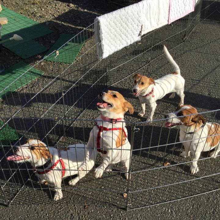 Fc4af717 77bf 44e9 adc1 d4acf932c745 1511775695062