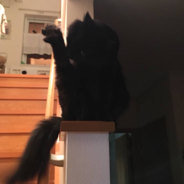 Fc4b219f 418d 4d5e b55f 29d3f49abed3 1522067644666