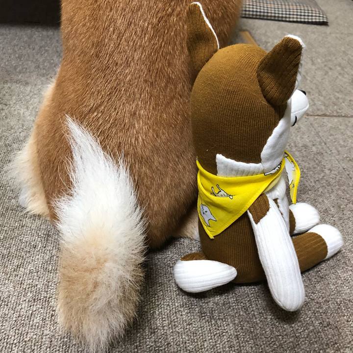 Fc4ba53f 1301 49f3 bd3d cf3904ac6029 1631273993815