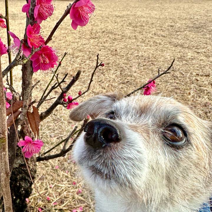 Fc4baa62 bf16 4afc b5b1 144610a767f0 1707456025119