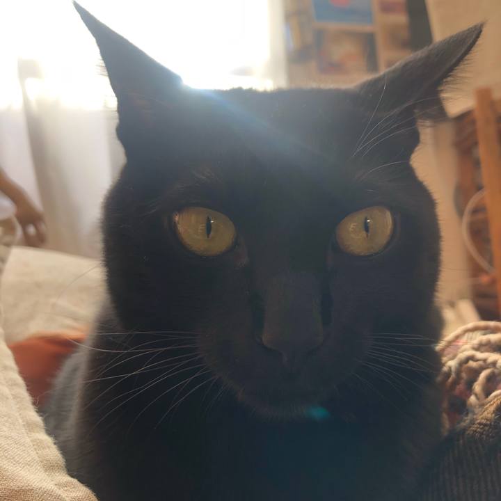 Fc4bab3a cce4 4786 8253 b366339e9430 1577577146219