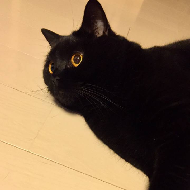 Fc4bb01d 3560 4369 8bdd 973cf324bc02 1531489108644