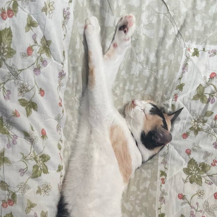 Fc4bb225 f2ce 4563 9a87 41ed9444d365 1716961044448