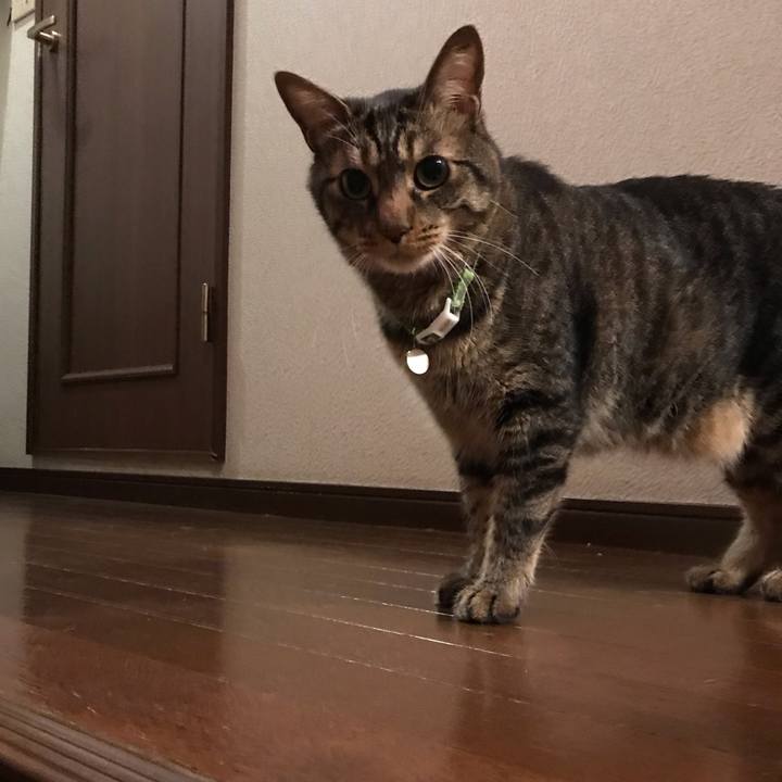 Fc4bc0eb 701d 49e2 b301 9c12eda7c83c 1624278474744