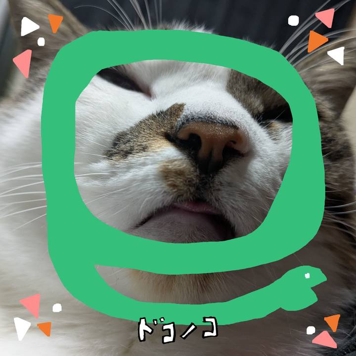 Fc4bf0fd 7809 4443 9f90 523e5b5c86b1 1741066083079