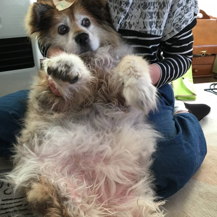 Fc4bf906 f299 4120 8699 7477ff692a09 1572498577807