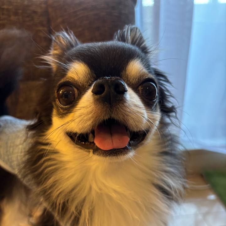 Fc4c1a3e 7a09 4beb b145 d057f3d55aba 1751129741531