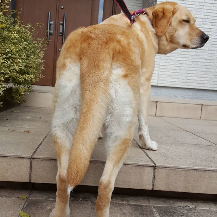 Fc4c248f 1eee 40b3 bae4 2975b39aeed7 1515998053206