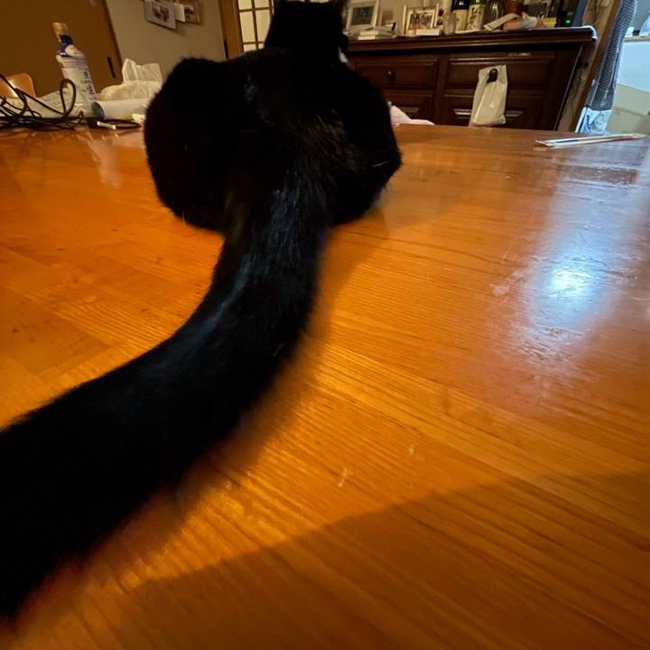 Fc4c4202 15ef 49e1 933c dfc5358fc58d 1736426196645