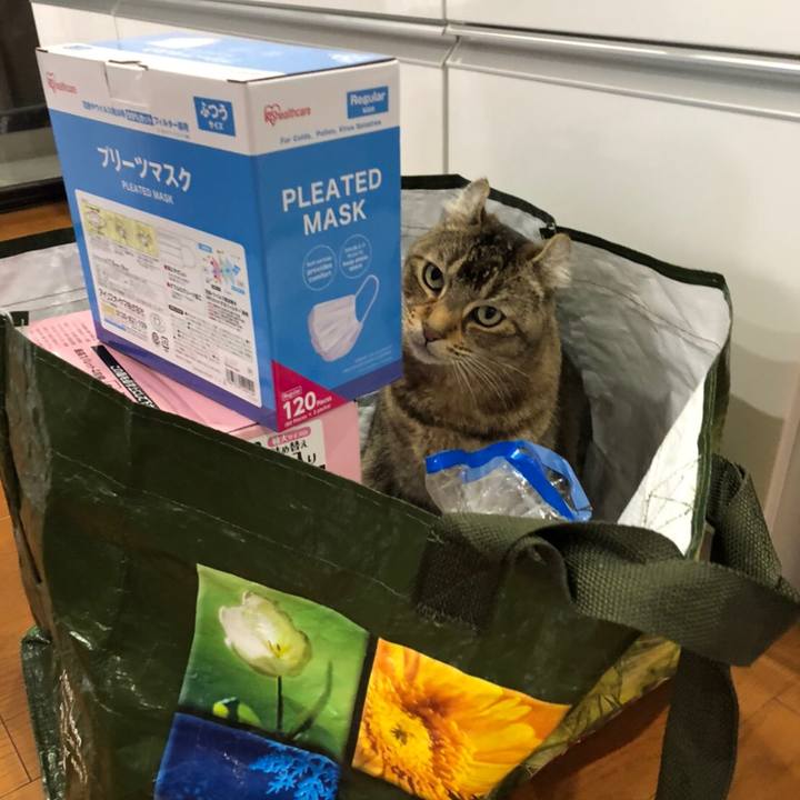 Fc4c83bb 1f1c 4971 80ec afa296433104 1613636929032