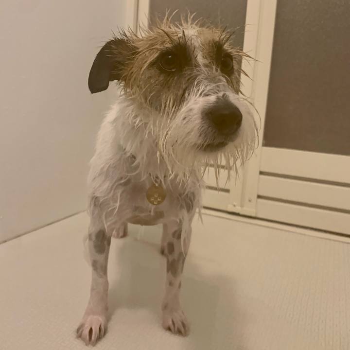 Fc4ce350 a6e1 434c 8f72 7fef2ee393c2 1648379271658