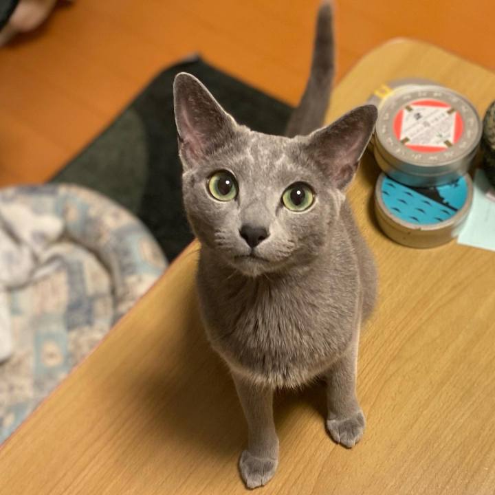 Fc4cf202 c2fb 4e52 a824 b84f2fdd03ad 1653225276013