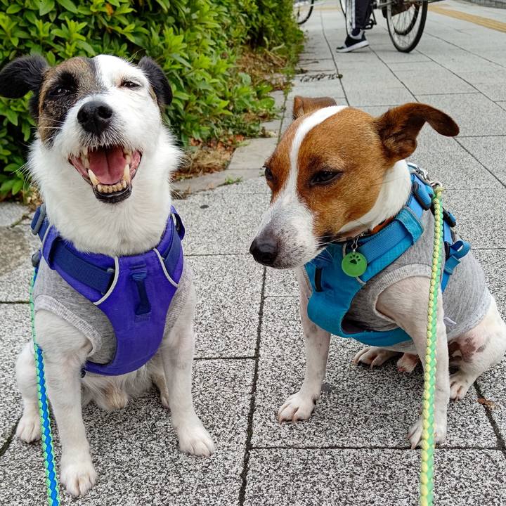 Fc4d07b0 5583 492d b2a9 0f27caba663c 1621214864984