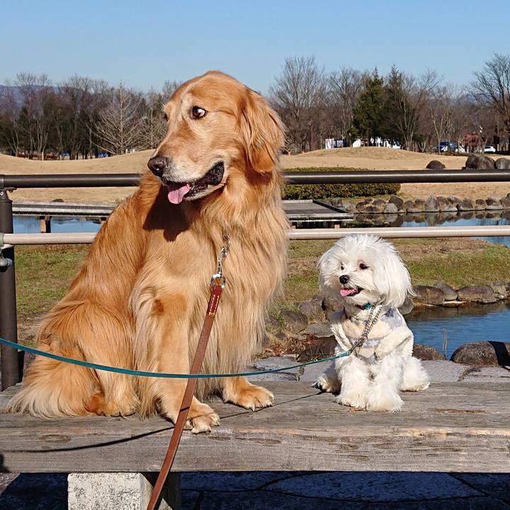 Fc4d4a8f da1e 4d62 8cd2 1257c9c70da5 1576686117872