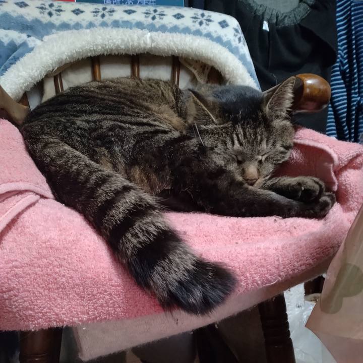 Fc4d68dc 303e 40f2 9baa d35689eae129 1679122282771