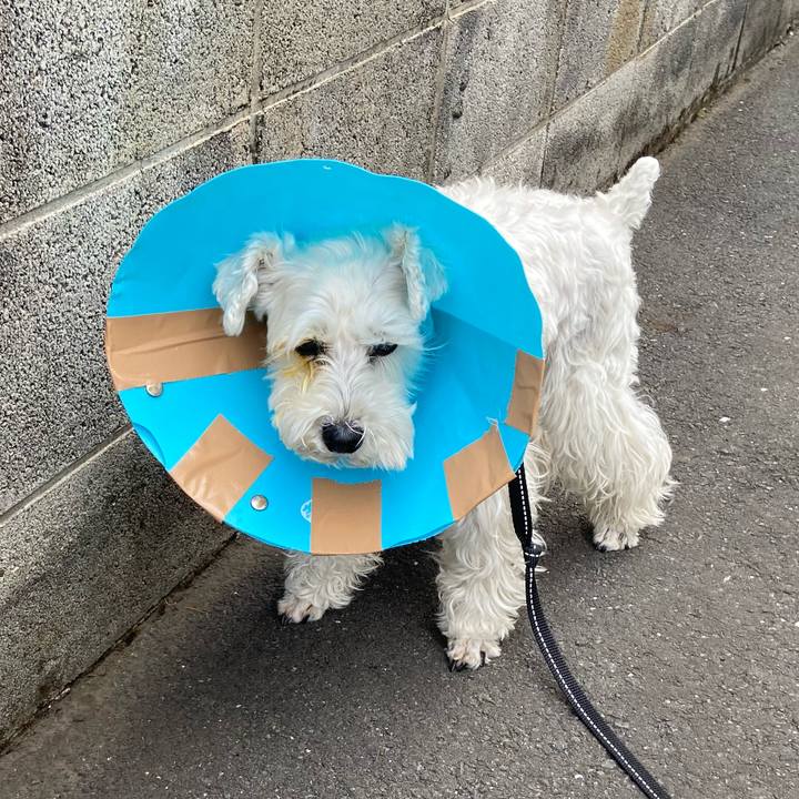 Fc4d6b30 46ad 40be a388 f92bf371eabd 1771940431159