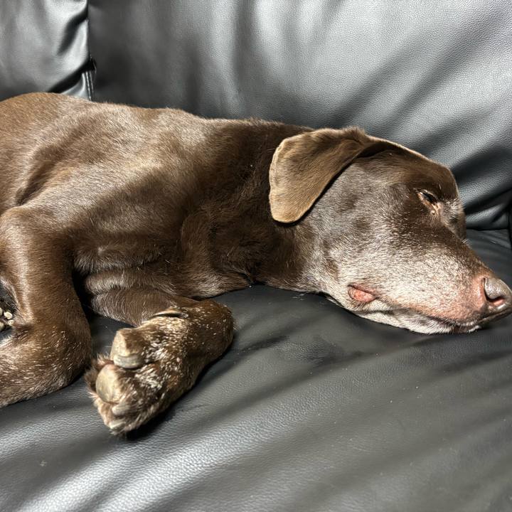 Fc4daa72 557e 4a98 95ab d051ef047064 1761222376892