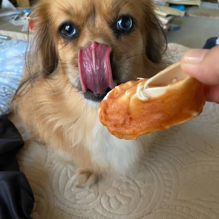 Fc4ddee0 8d1e 4341 aab5 40a9f2a90eb6 1599859764371