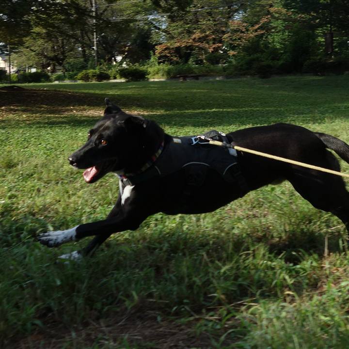 Fc4e1869 6b3e 48aa bfd0 c091e262356b 1664587155488