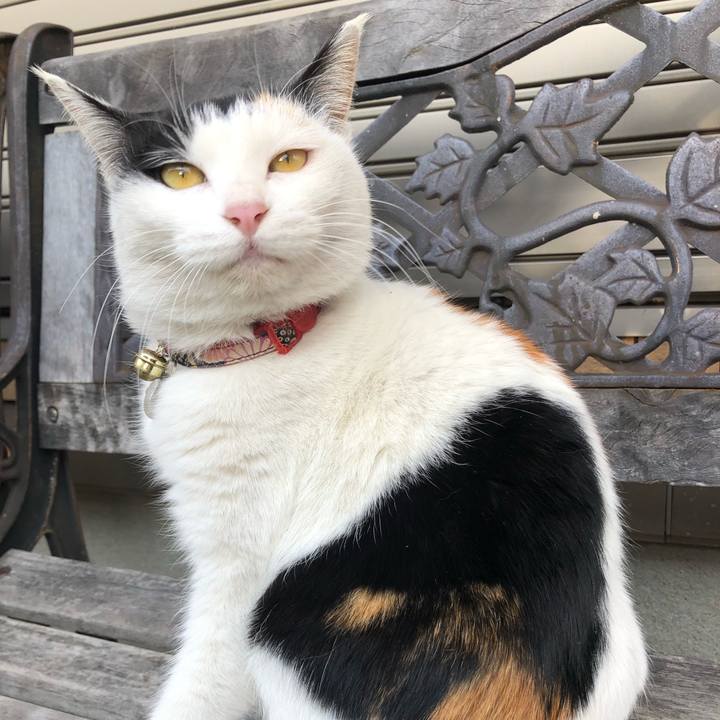 Fc4e64a2 8712 4d0e 83a7 a036a3e8d0c0 1609633323284