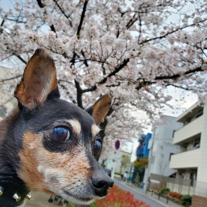 Fc4e7631 b53e 414a 81c6 6f6b680c4ce3 1679980960307