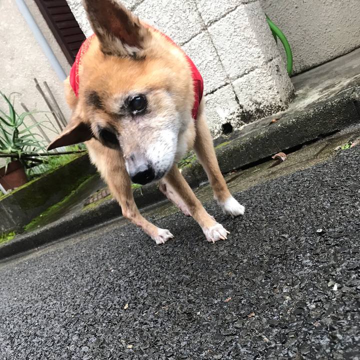 Fc4ee1d1 c07d 46e2 8ce5 6d2eb38bfdc0 1566514832135