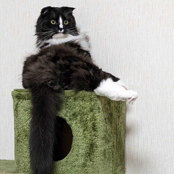 Fc4ef8ce 1f4f 496e bfa3 12ada66454f3 1677071289136