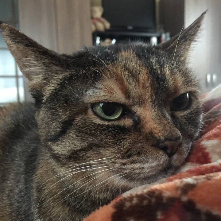 Fc4f9340 b243 40e8 accd a90c6df37fb3 1516261571253