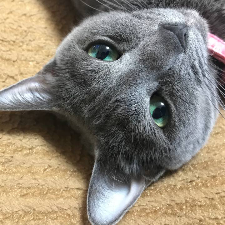 Fc4fa631 a72c 4150 8c1b df0dad076ef8 1557529714842