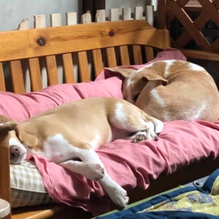 Fc4fb7bf 4358 4681 b78b fcba38a16386 1512123423013