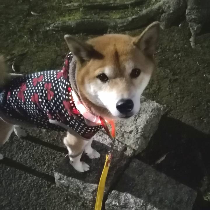 Fc4fdbe3 dd7a 446d 9b0a 39a39e13f1bc 1673519812086