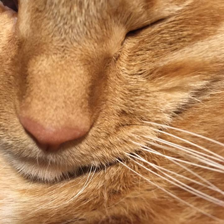 Fc4fe5d0 5483 4594 b9ec c1272c8e5b79 1576623664298