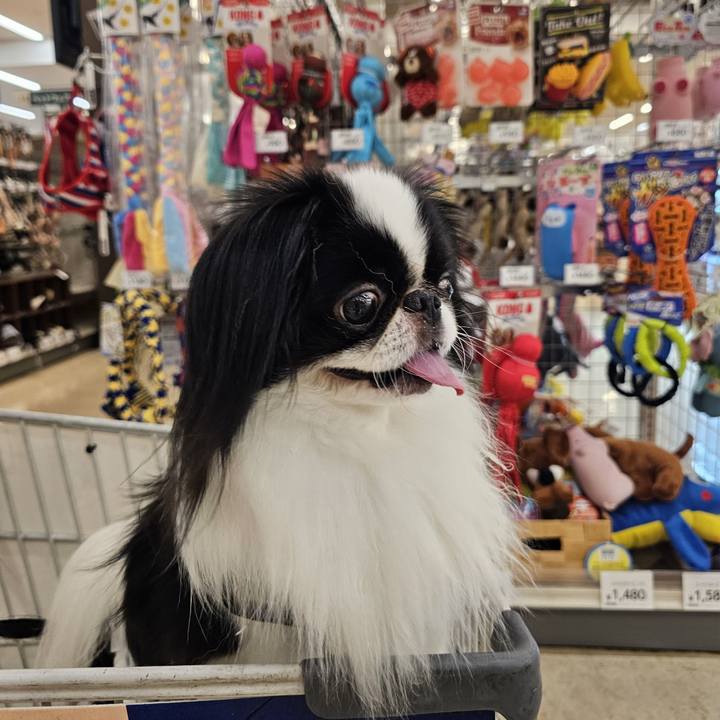 Fc4ff6db 4b6f 4857 a358 42b42315bc15 1718694084649