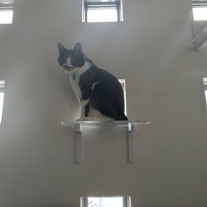 Fc501ccc be00 4172 980b 04fc6abdf7de 1639283128376