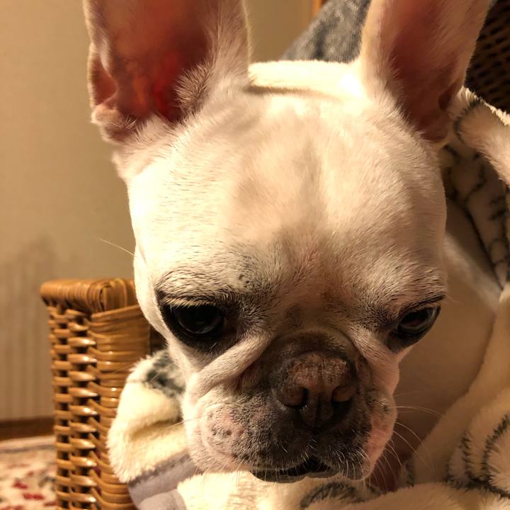 Fc506186 1795 4aab be2f a48173e889ca 1574593909527