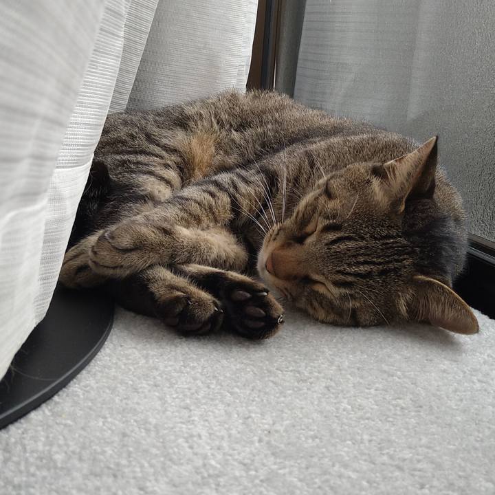 Fc5081d0 2624 401c a634 91de522f36f7 1631324713779