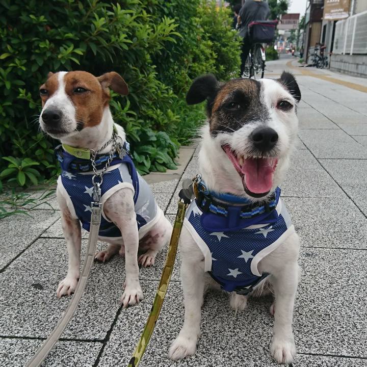 Fc508565 1d10 46ba b948 f624029ed4aa 1563665120656