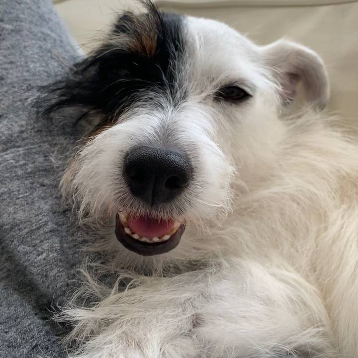 Fc508f6e 9c22 4560 9693 61a63b37180e 1566454839499