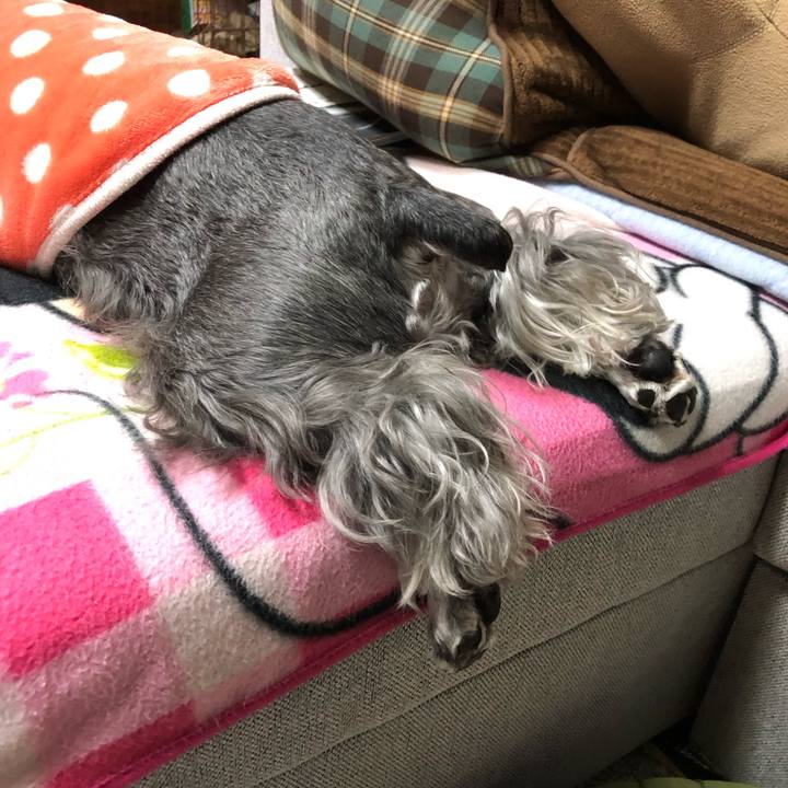 Fc50b813 63c0 4663 b709 c0913f46f073 1702389323214