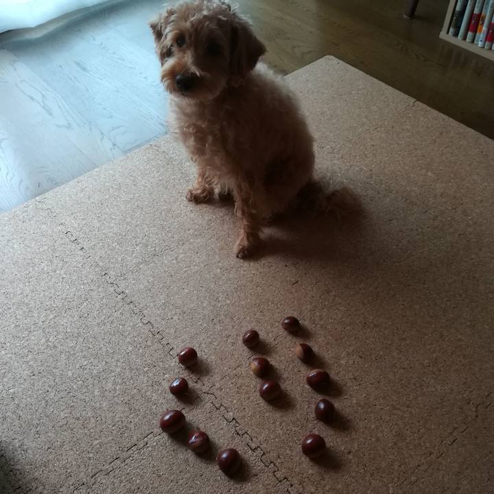 Fc50babf 8cbe 4ed0 af5a 81bde522d272 1568510419171