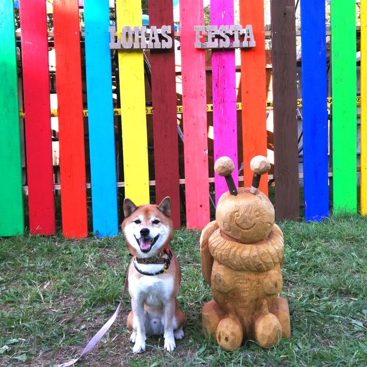 Fc50d1f6 d6ff 4c5a b43d 2490071ec8d4 1664623212289