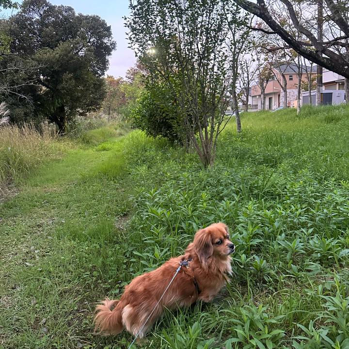 Fc50d83e 4caa 456f b4ea 23b40dfe753a 1697663774662