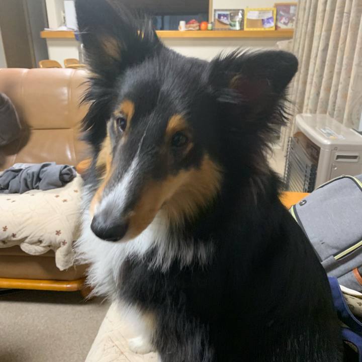 Fc50d944 cc50 4c55 b72a 073c3602d859 1548626387150