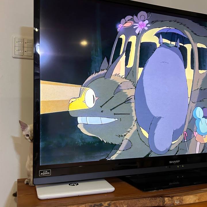 Fc50df7d 22e5 4fb5 a9ea 035639ca1713 1724418418250