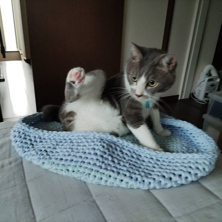 Fc50e213 1a9c 4779 b3d5 8d133790af1c 1663018775796