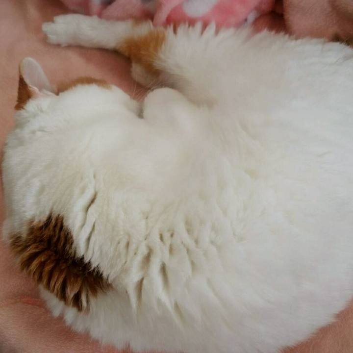 Fc50ece6 d402 4663 93b5 c13e11127fbf 1511573000570