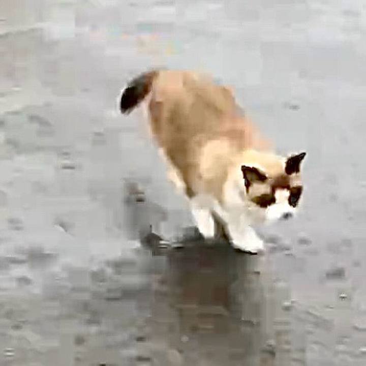 Fc50f26e 938f 4988 943d 8d52a1c80654 1729310573910