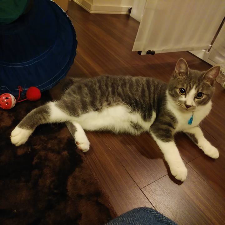 Fc513778 89ee 44a3 a391 2a146ae0dc77 1572706382261