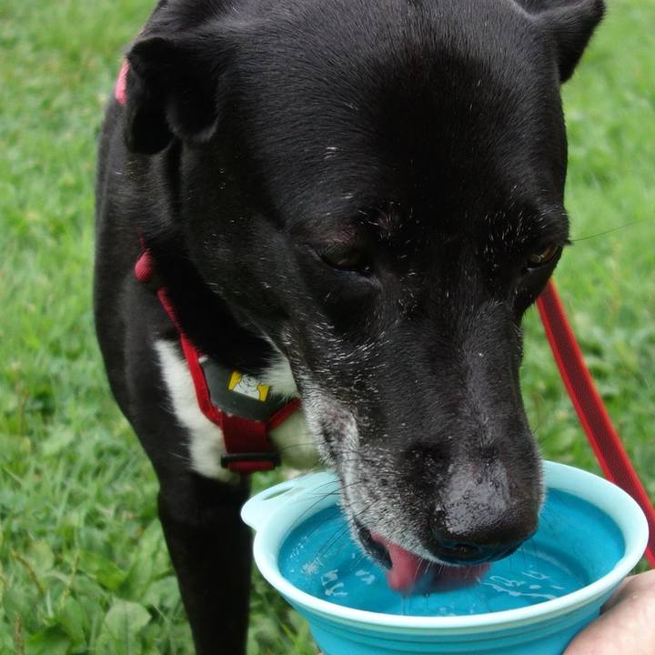 Fc5140c6 ed52 4e69 a7ad e9647b80aba0 1689381177467